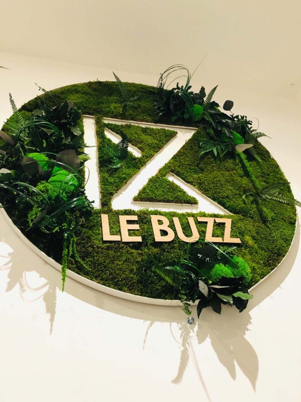 HAUTS DE FRANCE - LE BUZZ - LILLE